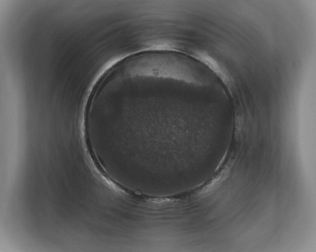 X0000110691331200906191459