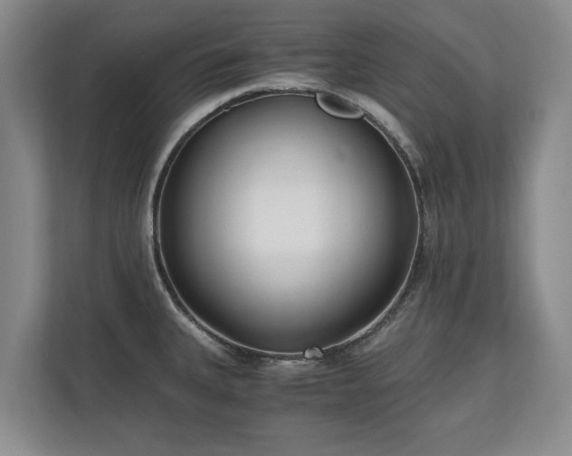 X0000110691335200906191500