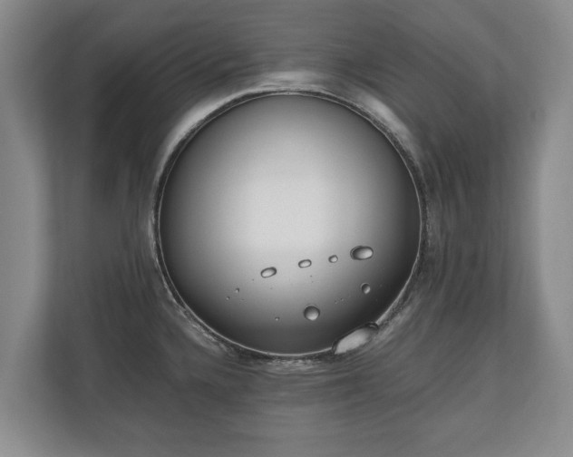 X0000110691336200906191500