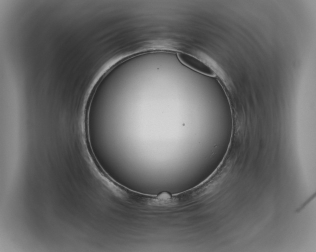 X0000110691339200906191500