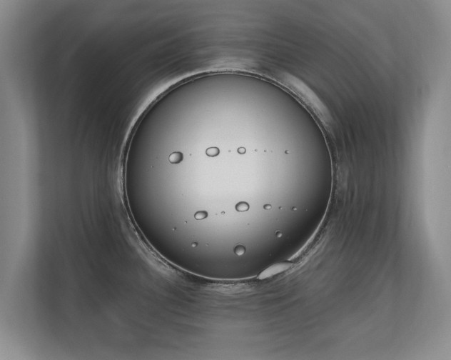 X0000110691340200906191500