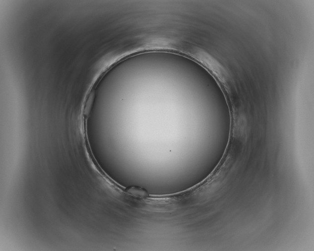 X0000110691342200906191500