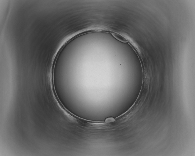 X0000110691343200906191500