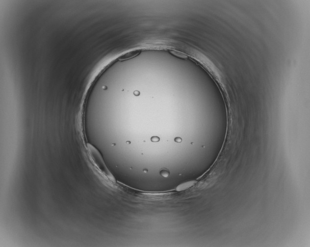 X0000110691344200906191500