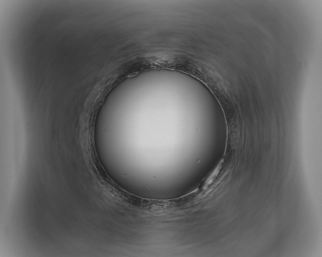 X0000110691345200906191459