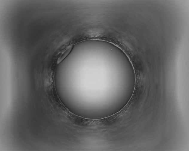 X0000110691349200906191459