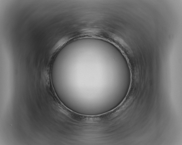 X0000110691354200906191459