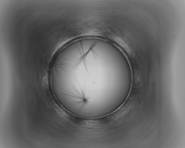 X0000110691356200906191459