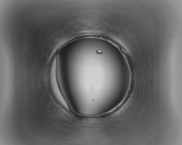 X0000110691357200906191459