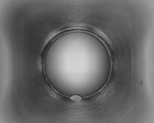 X0000110691360200906191459