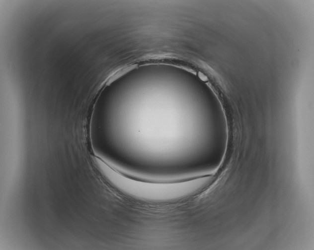 X0000110691361200906191459