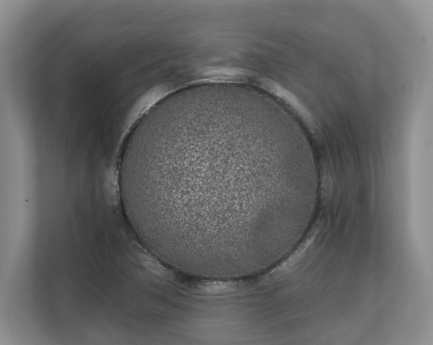 X0000110691362200906191459