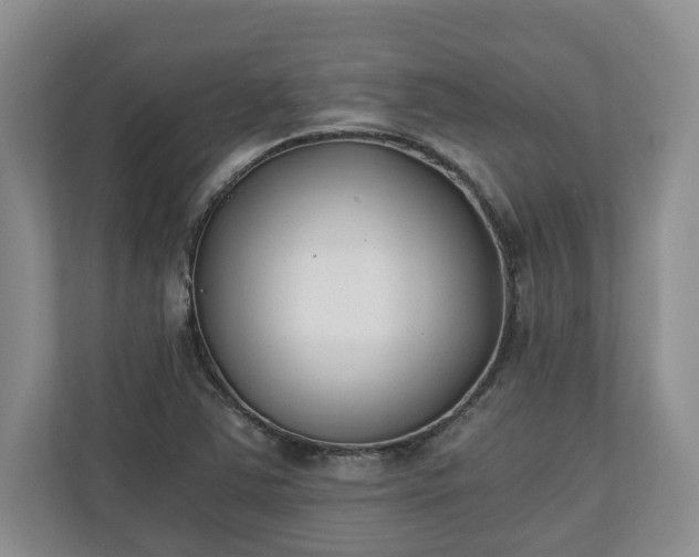 X0000110691363200906191459