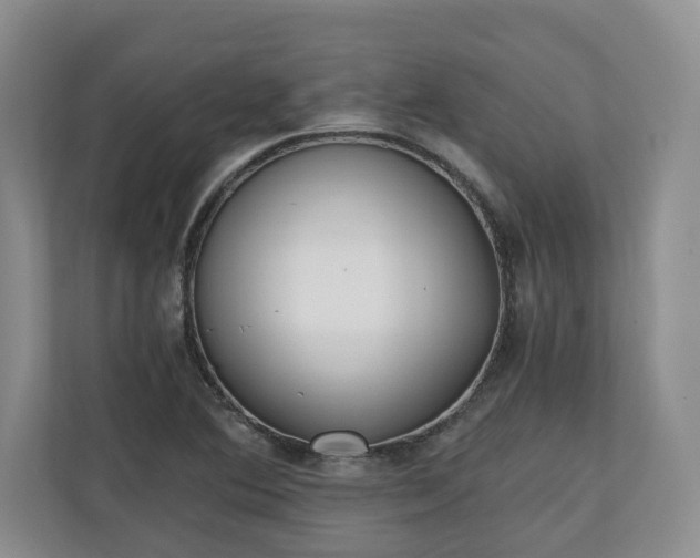 X0000110691364200906191459