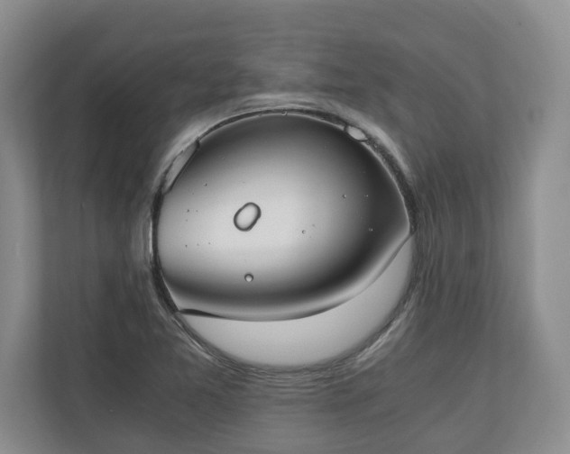 X0000110691365200906191459