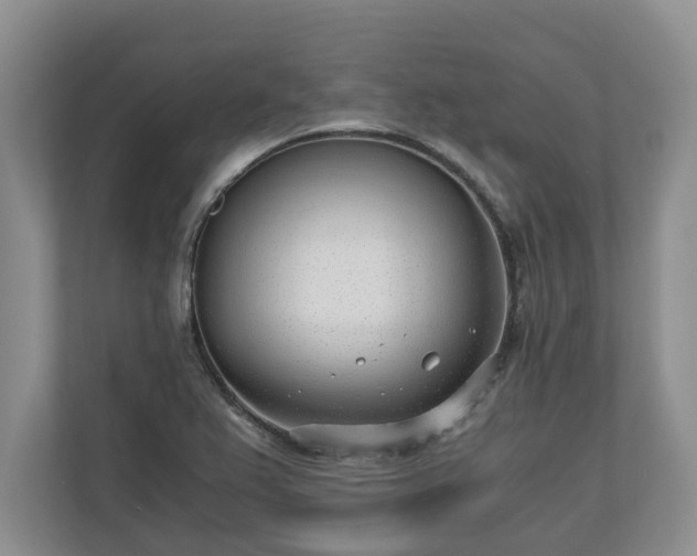 X0000110691367200906191459