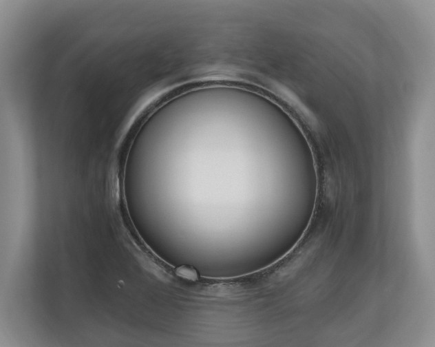 X0000110691368200906191459