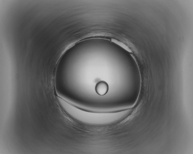 X0000110691369200906191459