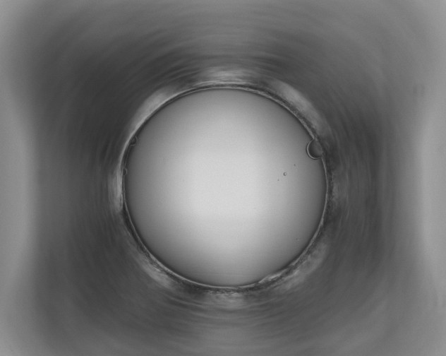 X0000110691370200906191459