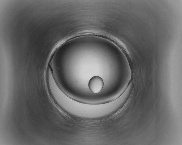 X0000110691373200906191459