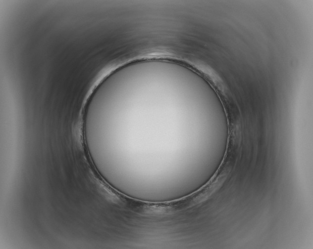 X0000110691374200906191459