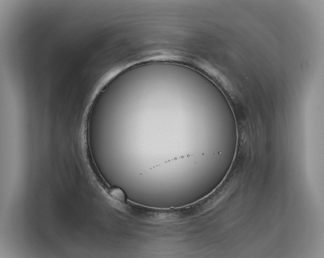 X0000110691375200906191459