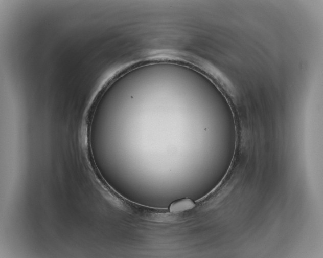 X0000110691376200906191459