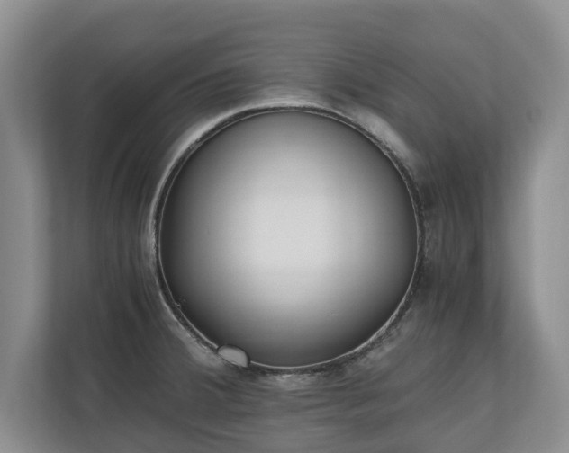 X0000110691380200906191459