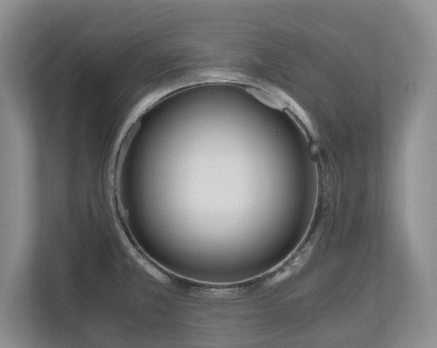 X0000110691381200906191459