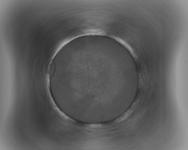 X0000110691383200906191459