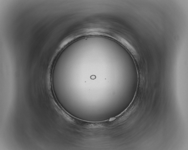 X0000110691384200906191459