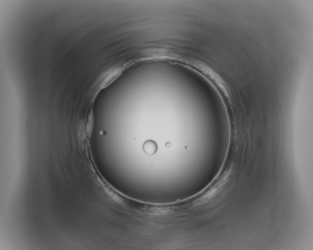 X0000110691385200906191459