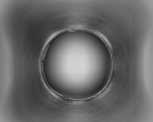 X0000110691389200906191458