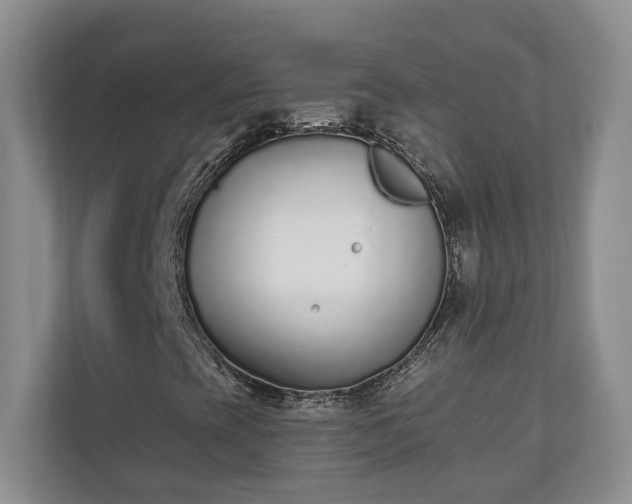 X0000110691393200906191458