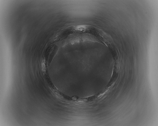 X0000110691394200906191458