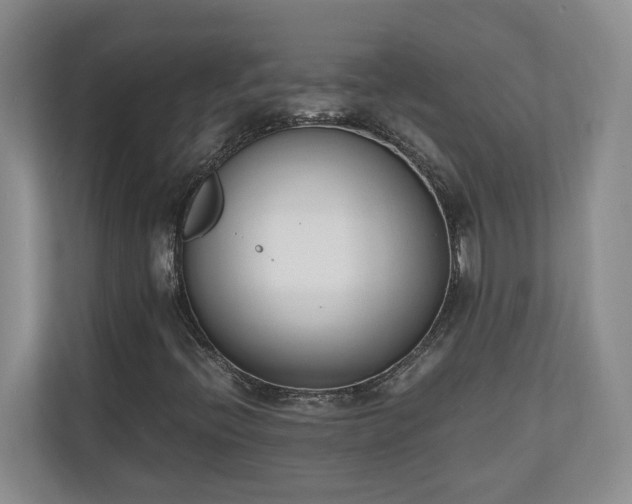 X0000110691396200906191458