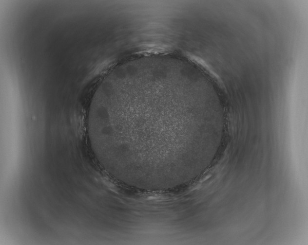 X0000110691399200906191458