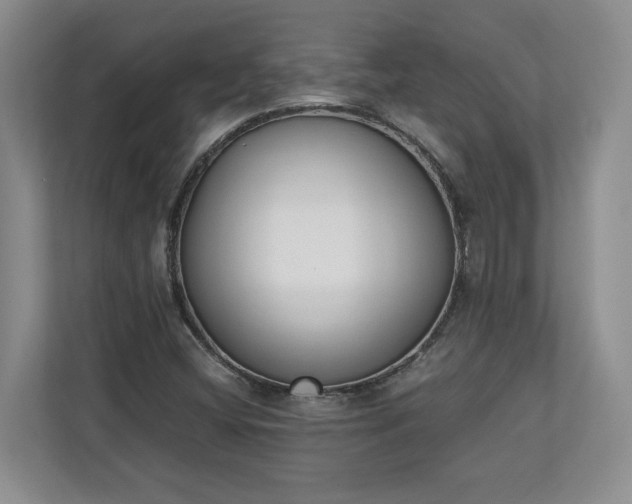 X0000110691404200906191458