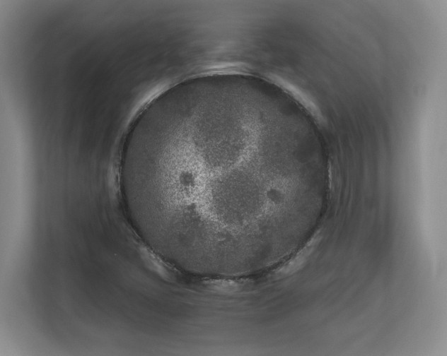 X0000110691405200906191458