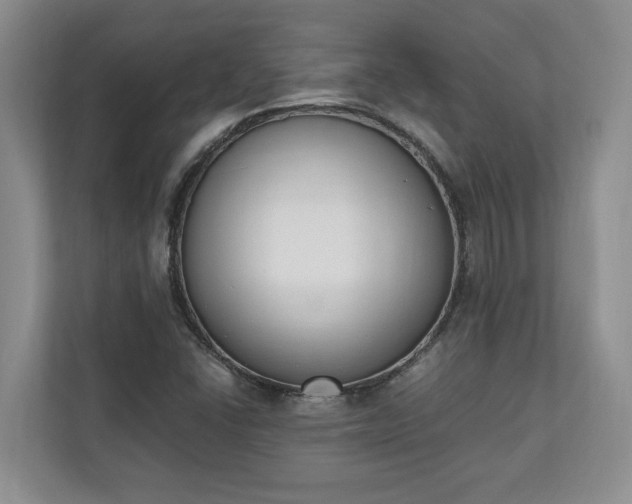 X0000110691406200906191458