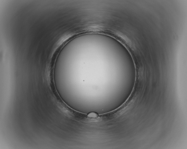 X0000110691410200906191458