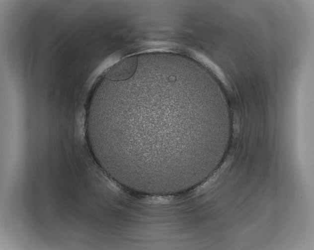 X0000110691411200906191458