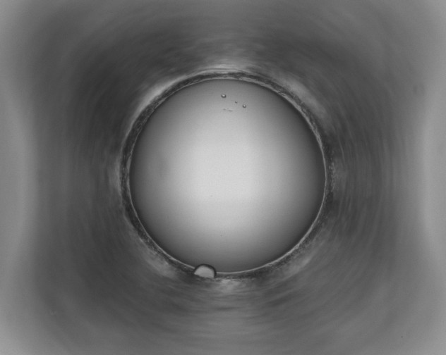 X0000110691412200906191458