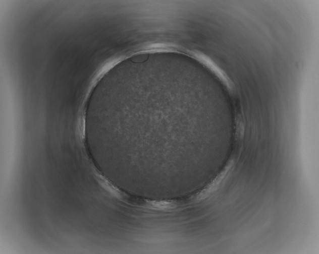 X0000110691413200906191458