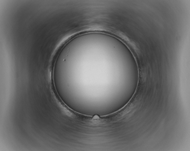 X0000110691416200906191458