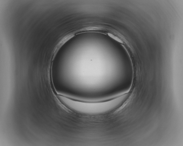 X0000110691417200906191458