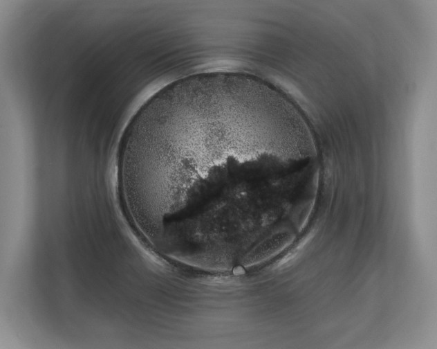 X0000110691418200906191458