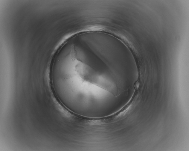 X0000110691422200906191458