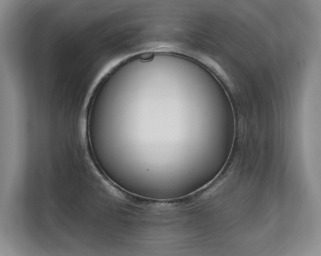 X0000110691424200906191458