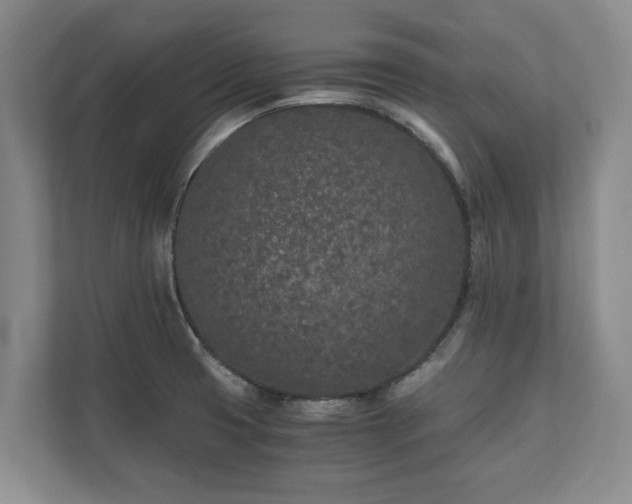 X0000110691425200906191458